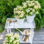 Bild von Gartenartikel günstig im Weltbild Sale – Spare bis zu 67%!