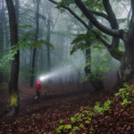 Bild von OUTDOOR ONLINESHOP – Alles von Bergsport bis Tourenski!