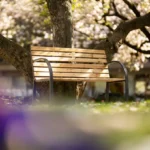 Bild von Gartenbank Micha