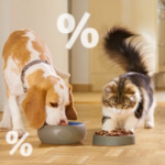 Bild von Angebote – bis zu 50% Rabatt auf ausgewählte Artikel