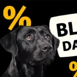 Bild von Black Days Sale – stark reduzierte Artikel sichern!