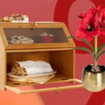 Bild von Sparen Sie sich glücklich! Ausgewählte Einzelstücke zum 1/2 Preis!