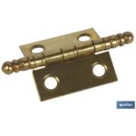 Bild von COFAN 2 Stück vermessingtes Eisenscharnier High End 50×40